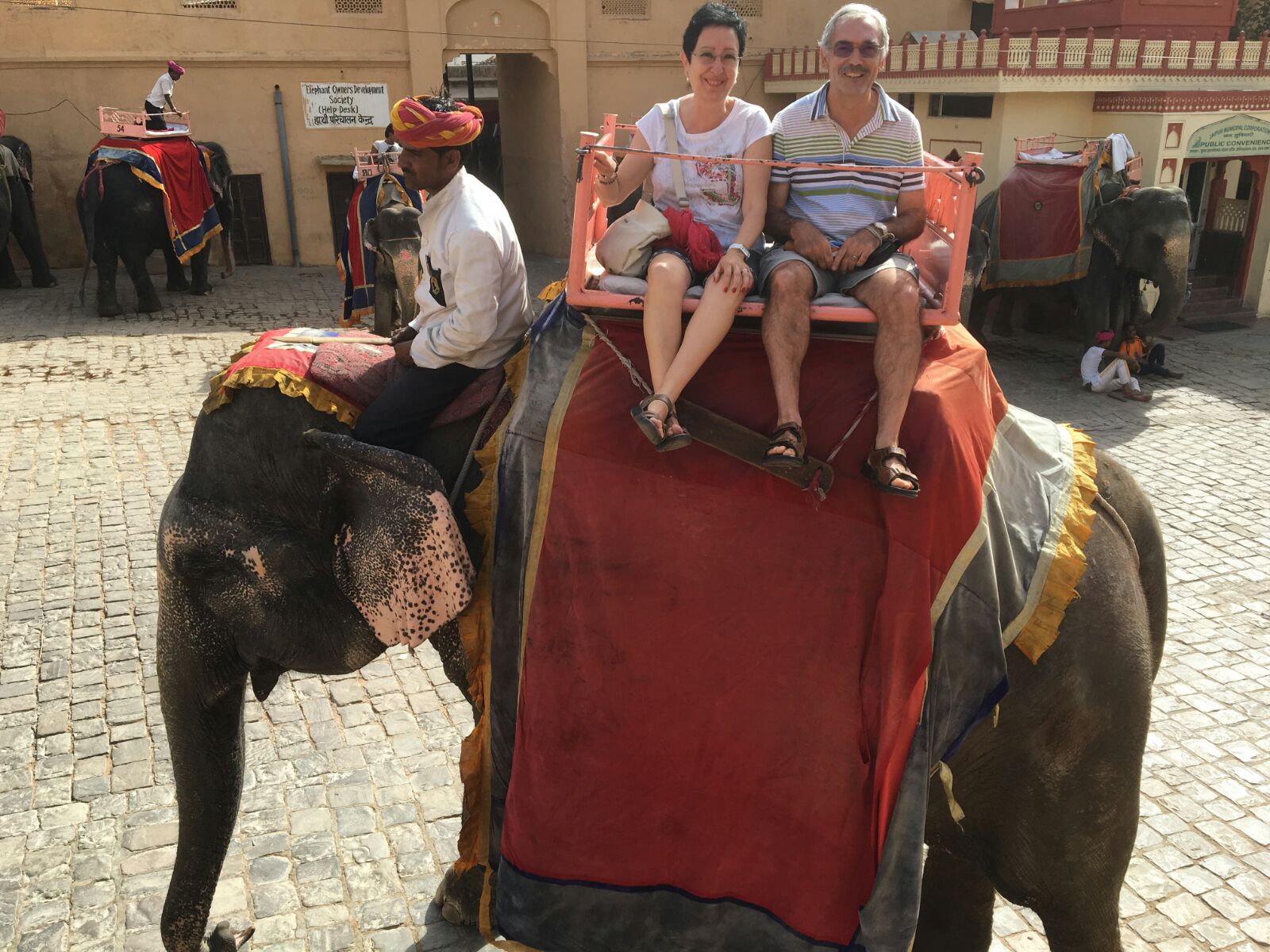 Isabel y Josep Anton a lomos de un elefante en India.
