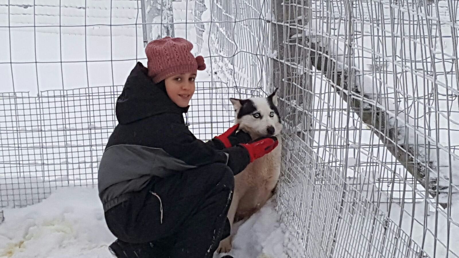 Helena acariciando un precioso Husky siberiano en Rovaniemi, Laponia.