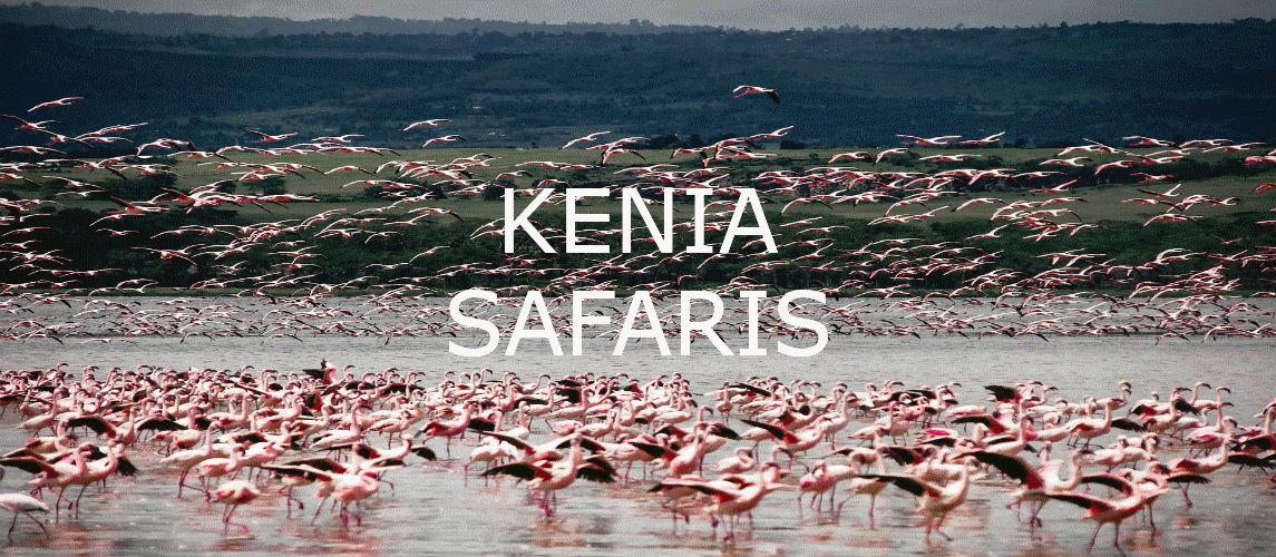 Kenia. Safaris En Parques Y Playas